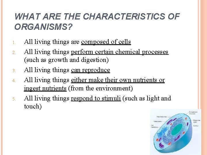 WHAT ARE THE CHARACTERISTICS OF ORGANISMS? 1. 2. 3. 4. 5. All living things