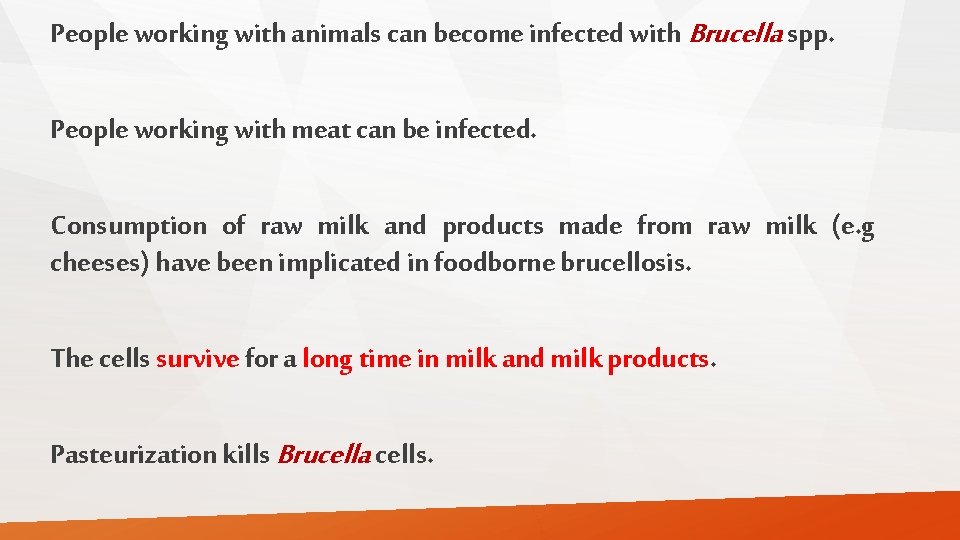 People working with animals can become infected with Brucella spp. People working with meat
