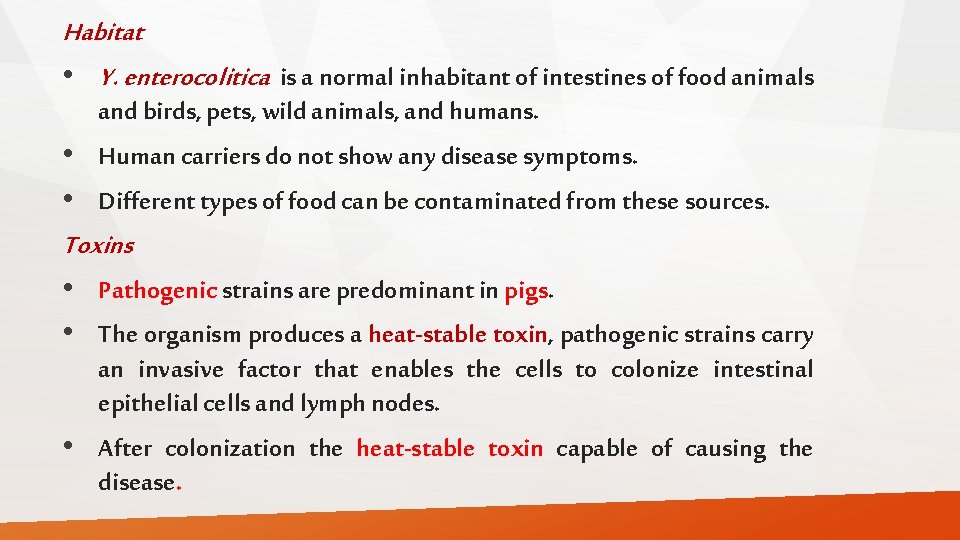 Habitat • Y. enterocolitica is a normal inhabitant of intestines of food animals and