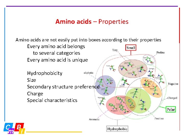 Amino acids – Properties Amino acids are not easily put into boxes according to