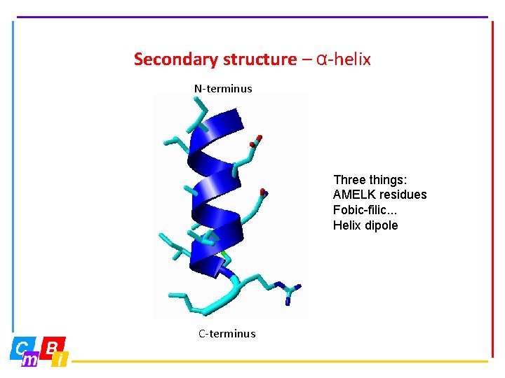 Secondary structure – α-helix N-terminus Three things: AMELK residues Fobic-filic. . . Helix dipole