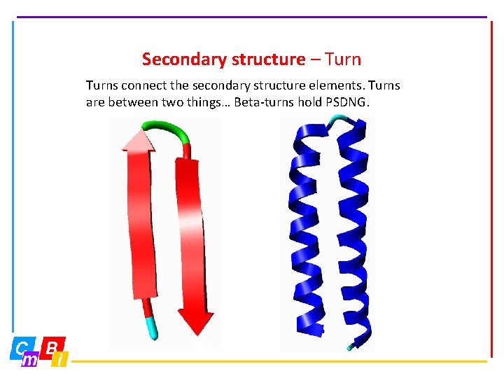 Secondary structure – Turns connect the secondary structure elements. Turns are between two things…