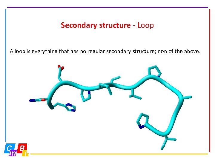 Secondary structure - Loop A loop is everything that has no regular secondary structure;