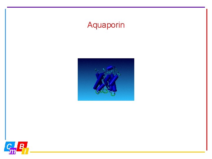 Aquaporin 