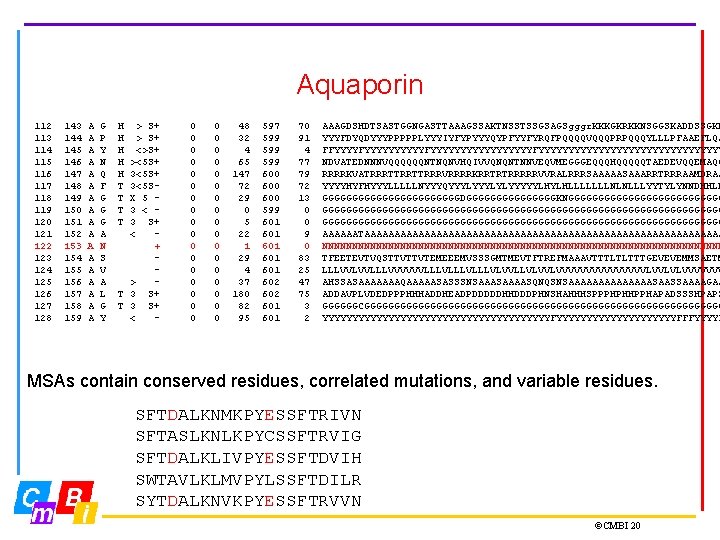 Aquaporin 112 113 114 115 116 117 118 119 120 121 122 123 124