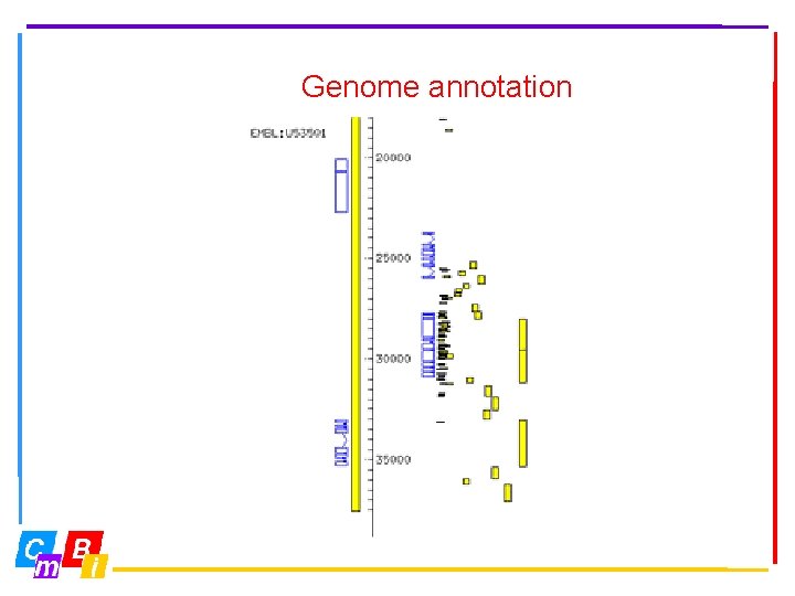 Genome annotation 