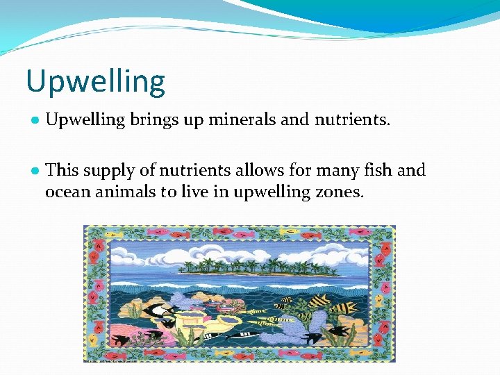 Upwelling ● Upwelling brings up minerals and nutrients. ● This supply of nutrients allows