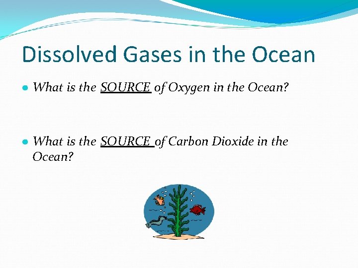 Dissolved Gases in the Ocean ● What is the SOURCE of Oxygen in the