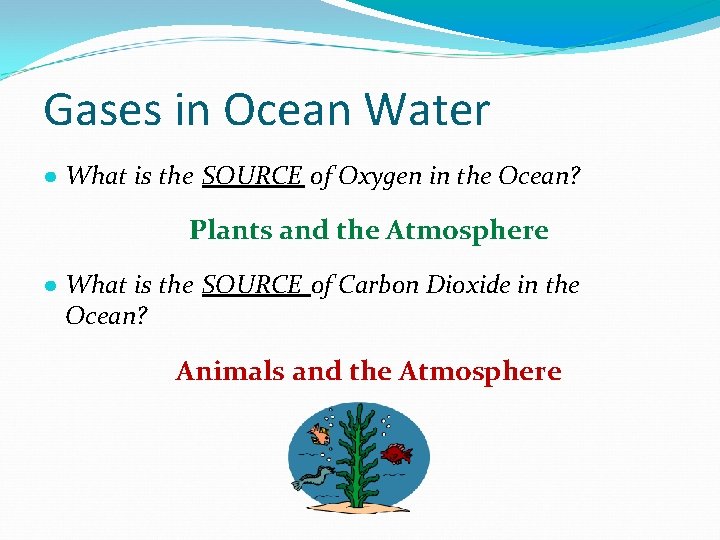 Gases in Ocean Water ● What is the SOURCE of Oxygen in the Ocean?