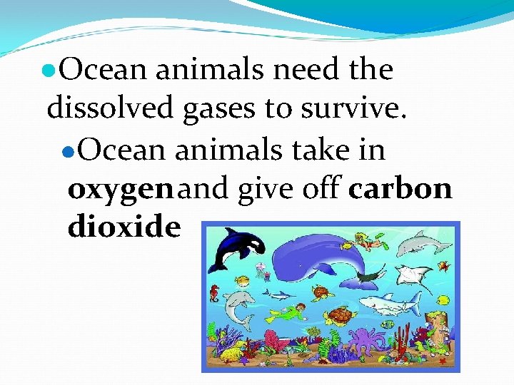 ●Ocean animals need the dissolved gases to survive. ●Ocean animals take in oxygen and