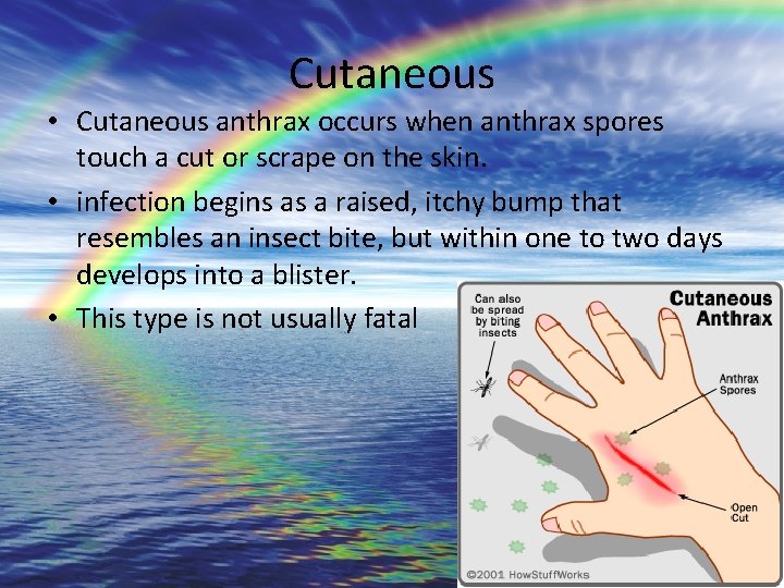 Cutaneous • Cutaneous anthrax occurs when anthrax spores touch a cut or scrape on