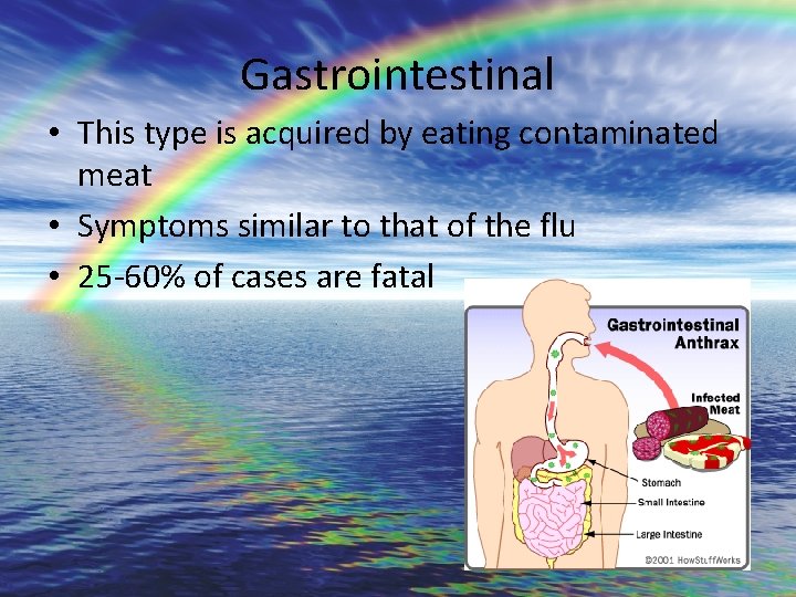 Gastrointestinal • This type is acquired by eating contaminated meat • Symptoms similar to