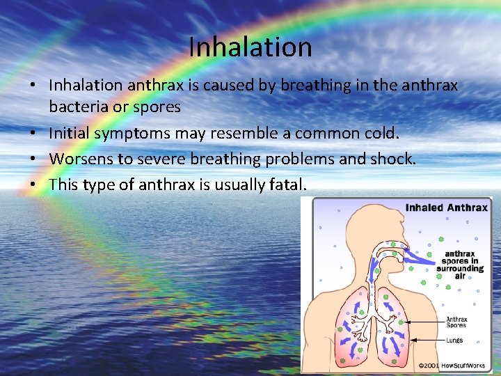 Inhalation • Inhalation anthrax is caused by breathing in the anthrax bacteria or spores