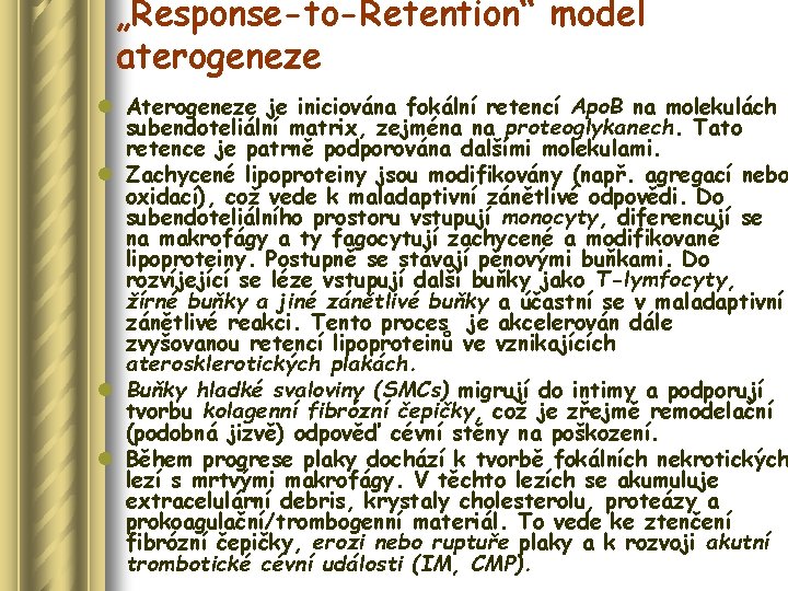 „Response-to-Retention“ model aterogeneze l Aterogeneze je iniciována fokální retencí Apo. B na molekulách subendoteliální