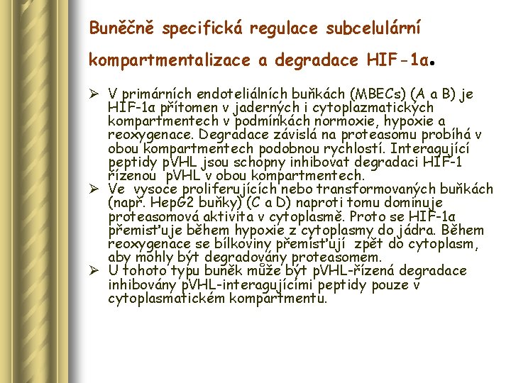 Buněčně specifická regulace subcelulární kompartmentalizace a degradace HIF-1α . Ø V primárních endoteliálních buňkách