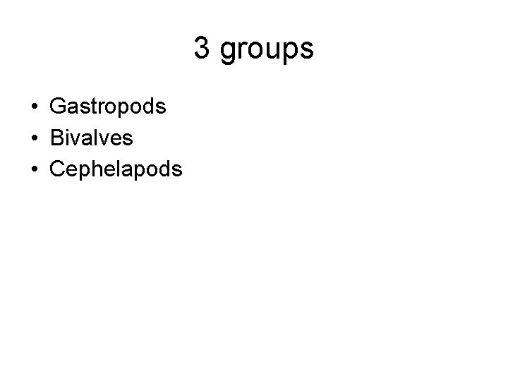 3 groups • Gastropods • Bivalves • Cephelapods 