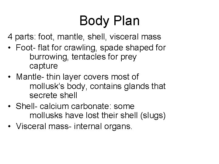 Body Plan 4 parts: foot, mantle, shell, visceral mass • Foot- flat for crawling,