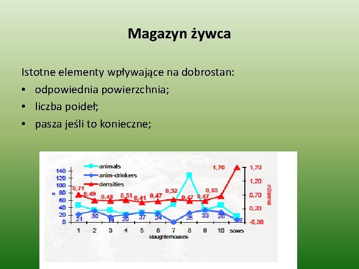 Magazyn żywca Istotne elementy wpływające na dobrostan: • odpowiednia powierzchnia; • liczba poideł; •