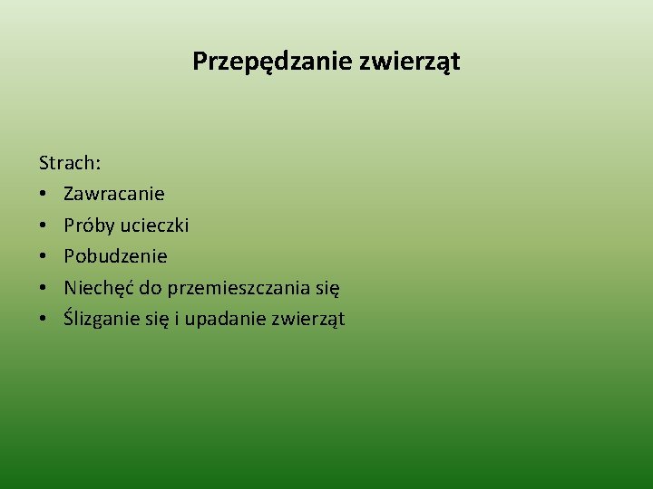 Przepędzanie zwierząt Strach: • Zawracanie • Próby ucieczki • Pobudzenie • Niechęć do przemieszczania