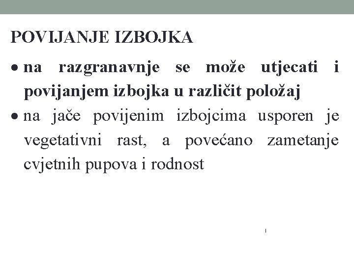 POVIJANJE IZBOJKA na razgranavnje se može utjecati i povijanjem izbojka u različit položaj na