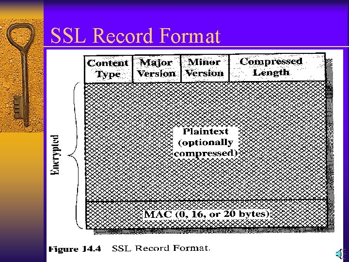 SSL Record Format 