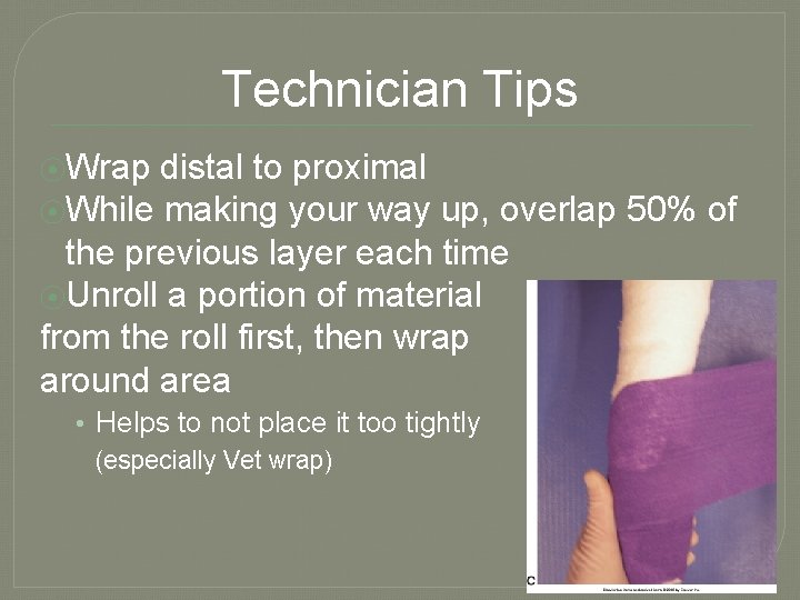 Technician Tips ⦿Wrap distal to proximal ⦿While making your way up, overlap 50% of