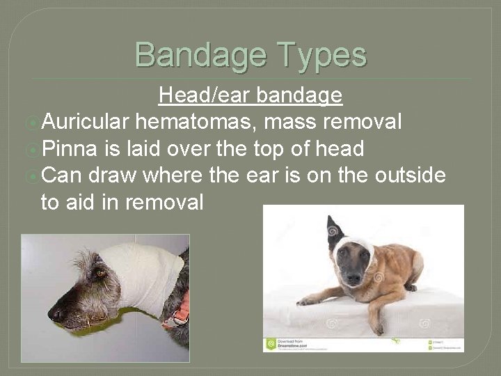 Bandage Types Head/ear bandage ⦿Auricular hematomas, mass removal ⦿Pinna is laid over the top