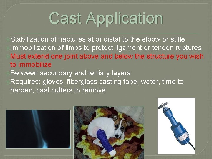 Cast Application ⦿Stabilization of fractures at or distal to the elbow or stifle ⦿Immobilization