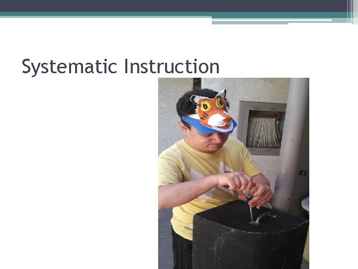 Systematic Instruction 