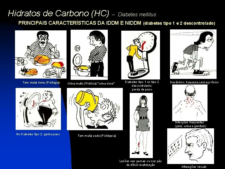 Hidratos de Carbono (HC) – Diabetes mellitus PRINCIPAIS CARACTERÍSTICAS DA IDDM E NIDDM (diabetes