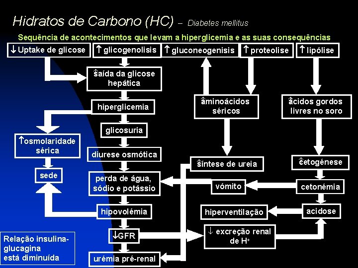 Hidratos de Carbono (HC) – Diabetes mellitus Sequência de acontecimentos que levam a hiperglicemia