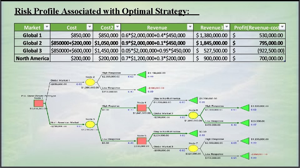 Risk Profile Associated with Optimal Strategy: 