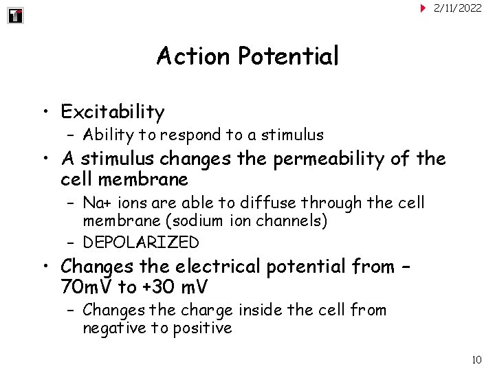 2/11/2022 Action Potential • Excitability – Ability to respond to a stimulus • A