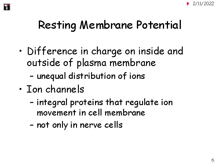 2/11/2022 Resting Membrane Potential • Difference in charge on inside and outside of plasma