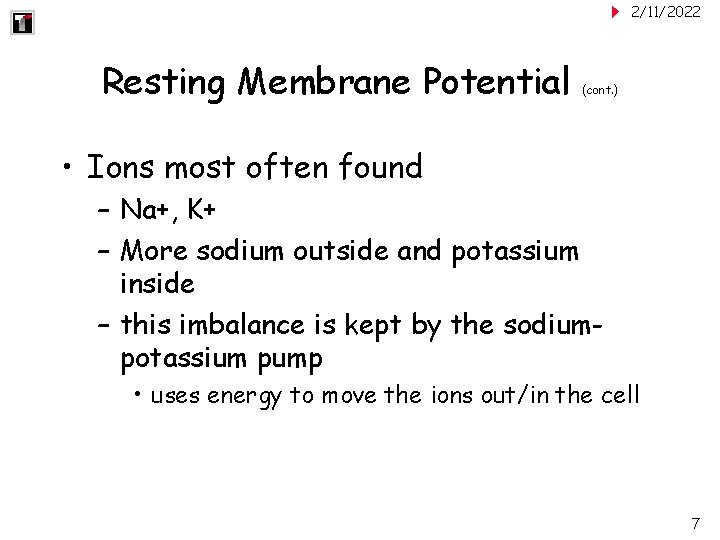 2/11/2022 Resting Membrane Potential (cont. ) • Ions most often found – Na+, K+