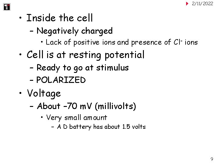 2/11/2022 • Inside the cell – Negatively charged • Lack of positive ions and