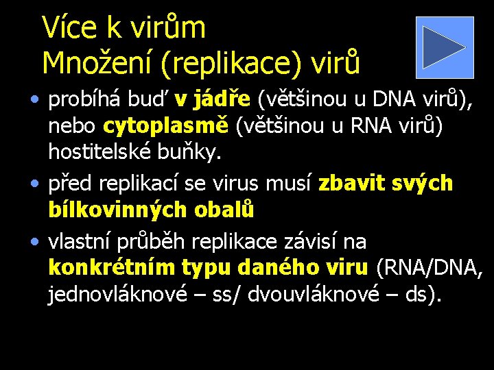 Více k virům Množení (replikace) virů • probíhá buď v jádře (většinou u DNA