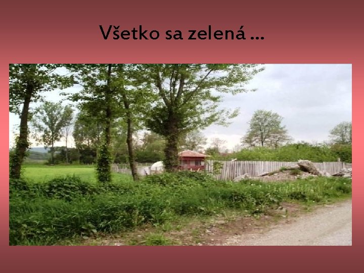 Všetko sa zelená. . . 