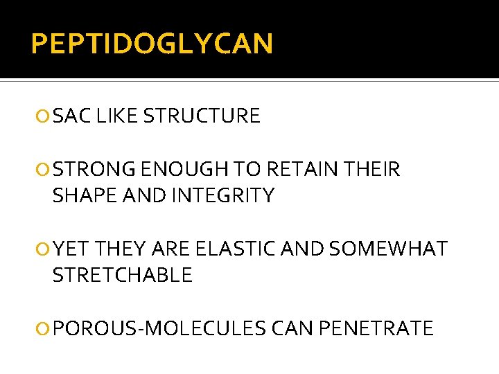 PEPTIDOGLYCAN SAC LIKE STRUCTURE STRONG ENOUGH TO RETAIN THEIR SHAPE AND INTEGRITY YET THEY