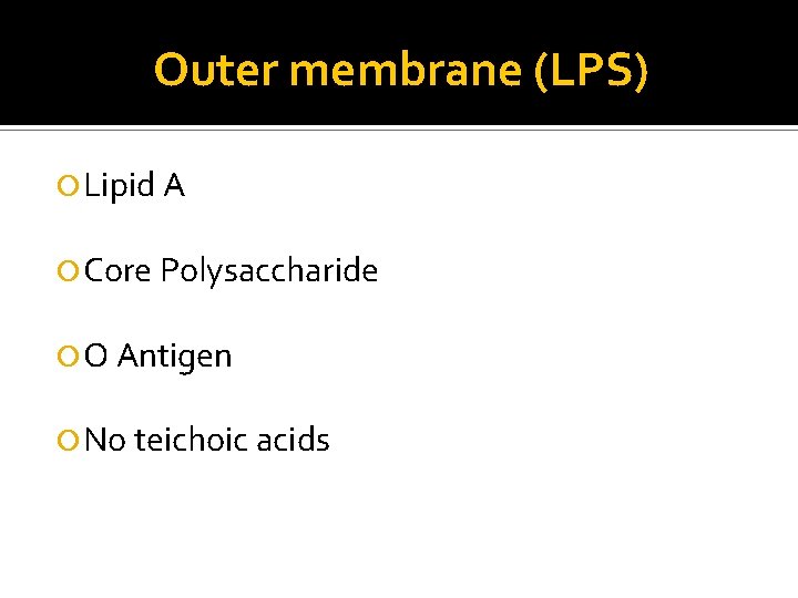 Outer membrane (LPS) Lipid A Core Polysaccharide O Antigen No teichoic acids 