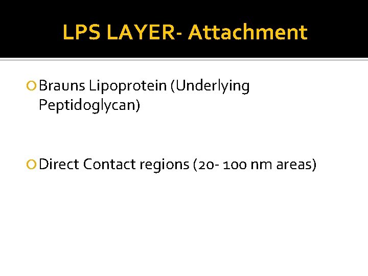 LPS LAYER- Attachment Brauns Lipoprotein (Underlying Peptidoglycan) Direct Contact regions (20 - 100 nm