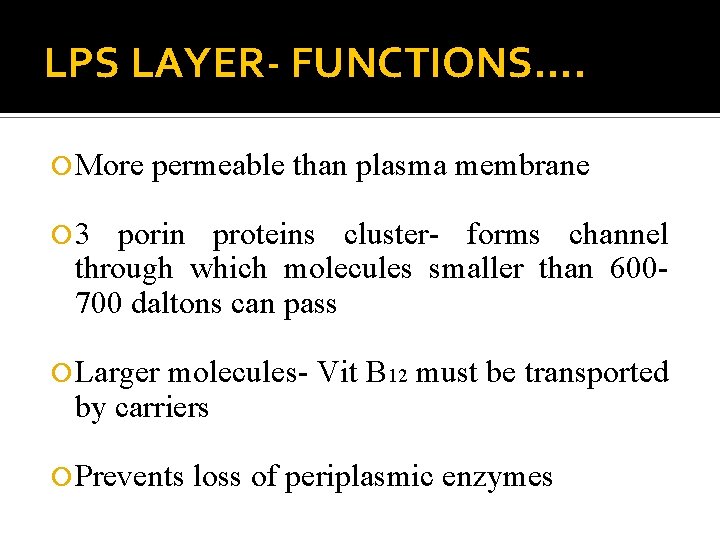 LPS LAYER- FUNCTIONS…. More permeable than plasma membrane 3 porin proteins cluster- forms channel