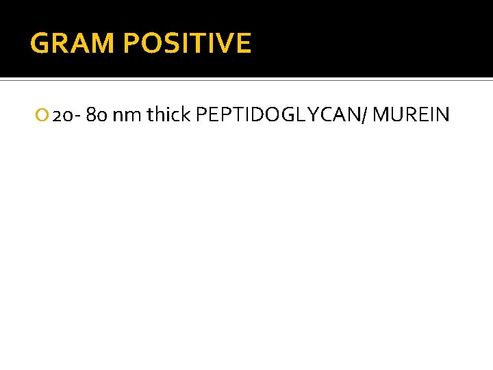 GRAM POSITIVE 20 - 80 nm thick PEPTIDOGLYCAN/ MUREIN 