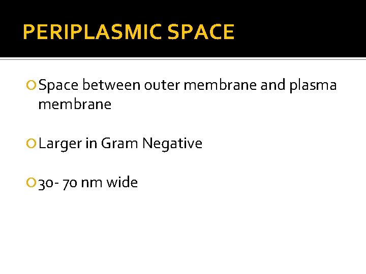 PERIPLASMIC SPACE Space between outer membrane and plasma membrane Larger in Gram Negative 30