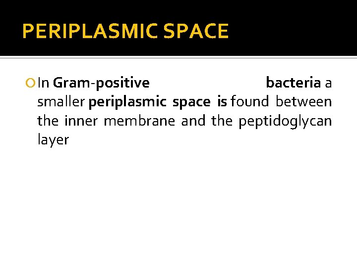 PERIPLASMIC SPACE In Gram-positive bacteria a smaller periplasmic space is found between the inner