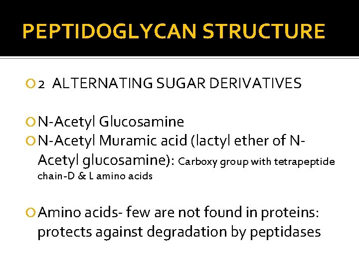 PEPTIDOGLYCAN STRUCTURE 2 ALTERNATING SUGAR DERIVATIVES N-Acetyl Glucosamine N-Acetyl Muramic acid (lactyl ether of