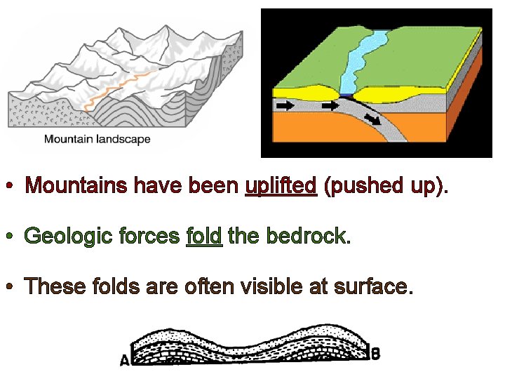  • Mountains have been uplifted (pushed up). • Geologic forces fold the bedrock.