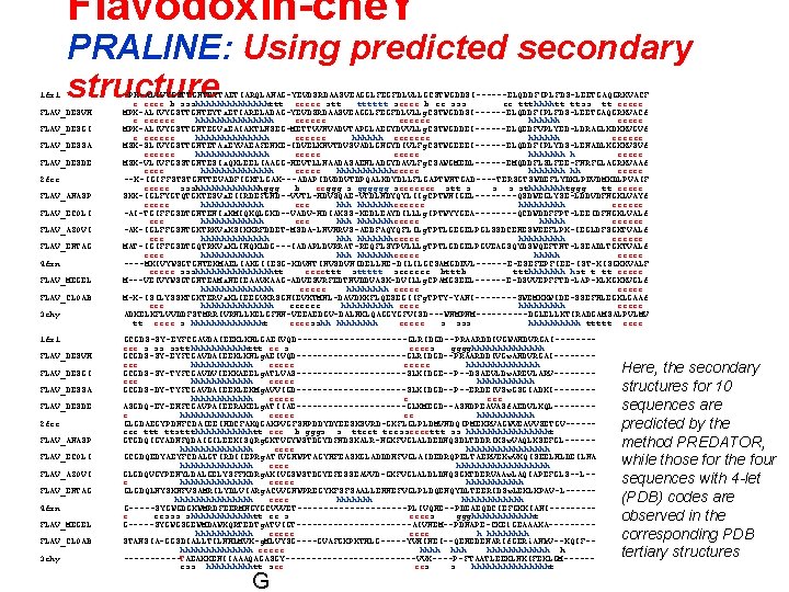 Flavodoxin-che. Y 1 fx 1 PRALINE: Using predicted secondary structure FLAV_DESVH FLAV_DESGI FLAV_DESSA FLAV_DESDE