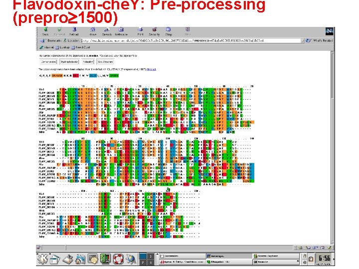 Flavodoxin-che. Y: Pre-processing (prepro 1500) 