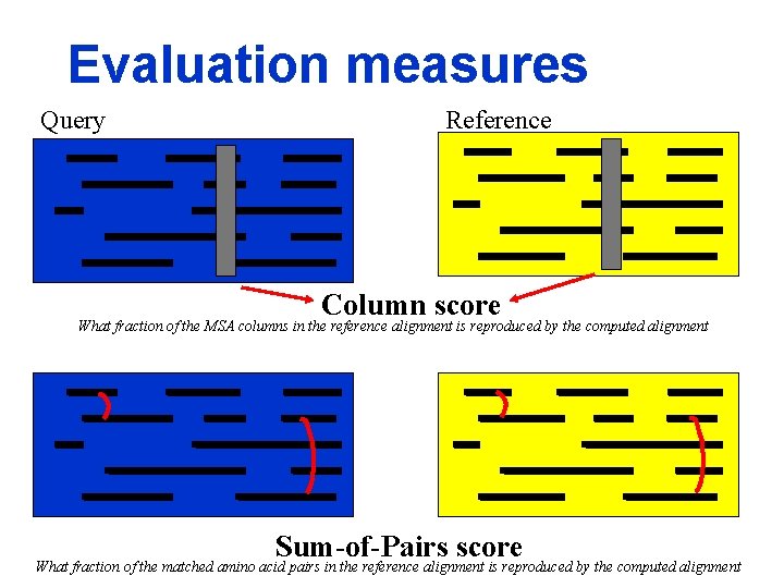 Evaluation measures Query Reference Column score What fraction of the MSA columns in the